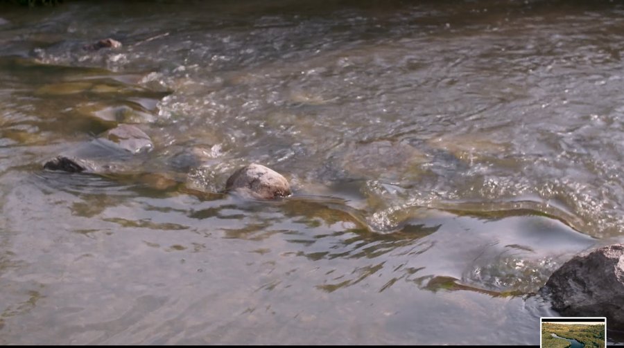 Rocky shallows of the Mississippi